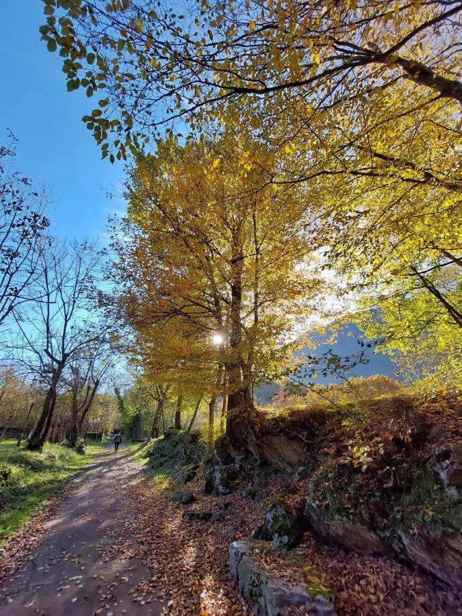 Villaggio Turistico Il Lago Dorato Carlazzo Екстериор снимка